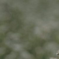 대우_sec1_2_bg 복사본
